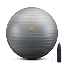 	PRIMASOLE Exercise Ball for Balance Stability Fitness Workout Yoga Pilates at	