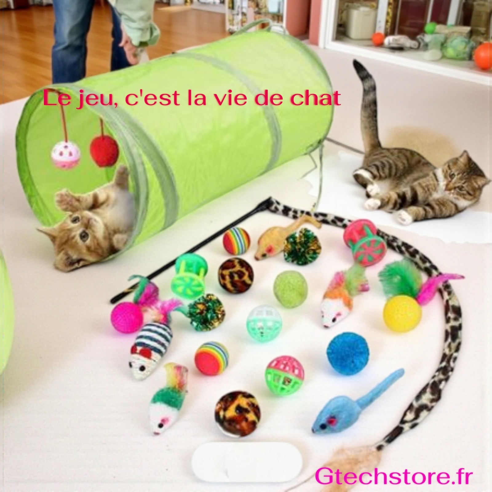 Kit de jouets variés pour chat d'appartement avec balles en sisal et souris ludiques