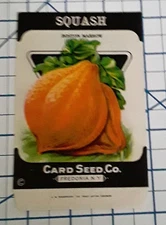 1920s SQUASH Vegetable Seed Packet - NOS Fredonia Ny Vintage Brand Co Us Farm