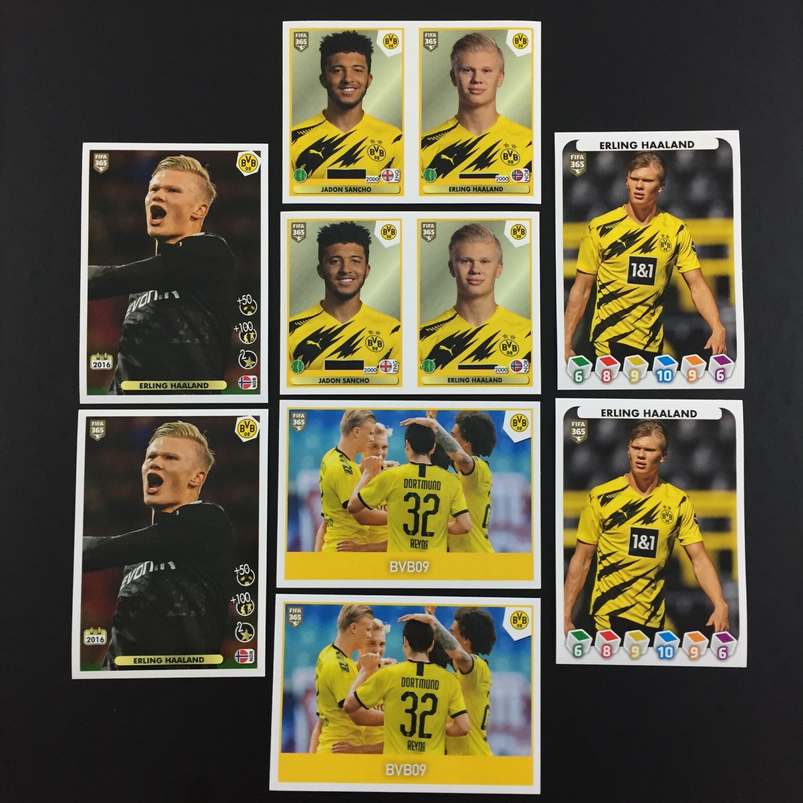 Erling Haaland Rookie RC Lot 8 Sticker Panini Fifa 365 2020 2021 (20-21) #181