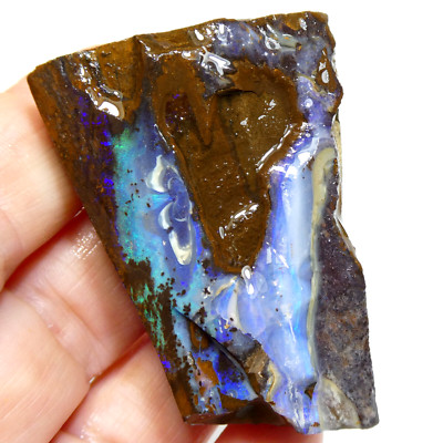 SUPERB 236.20CT Natural Rough Australian Boulder Opal Unpolished Specimen Video