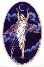 CRESCENT MOON SILVER GODDESS WICCA FAIRY STICKER/VINYL DECAL by Selena Fenech