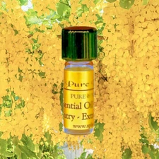 3 ml Cassia Cinnamon Essential Oil - 100% PURE & NATURAL UNCUT - Premium Grade