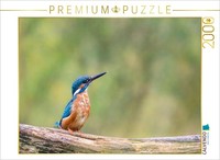 Calvendo Puzzle Kingfisher On Its Branch | 2000 Pieces, Finished Size 35.4 × 26.