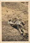 Photo WW2 Military: Poland Wounded Polish Soldier X242