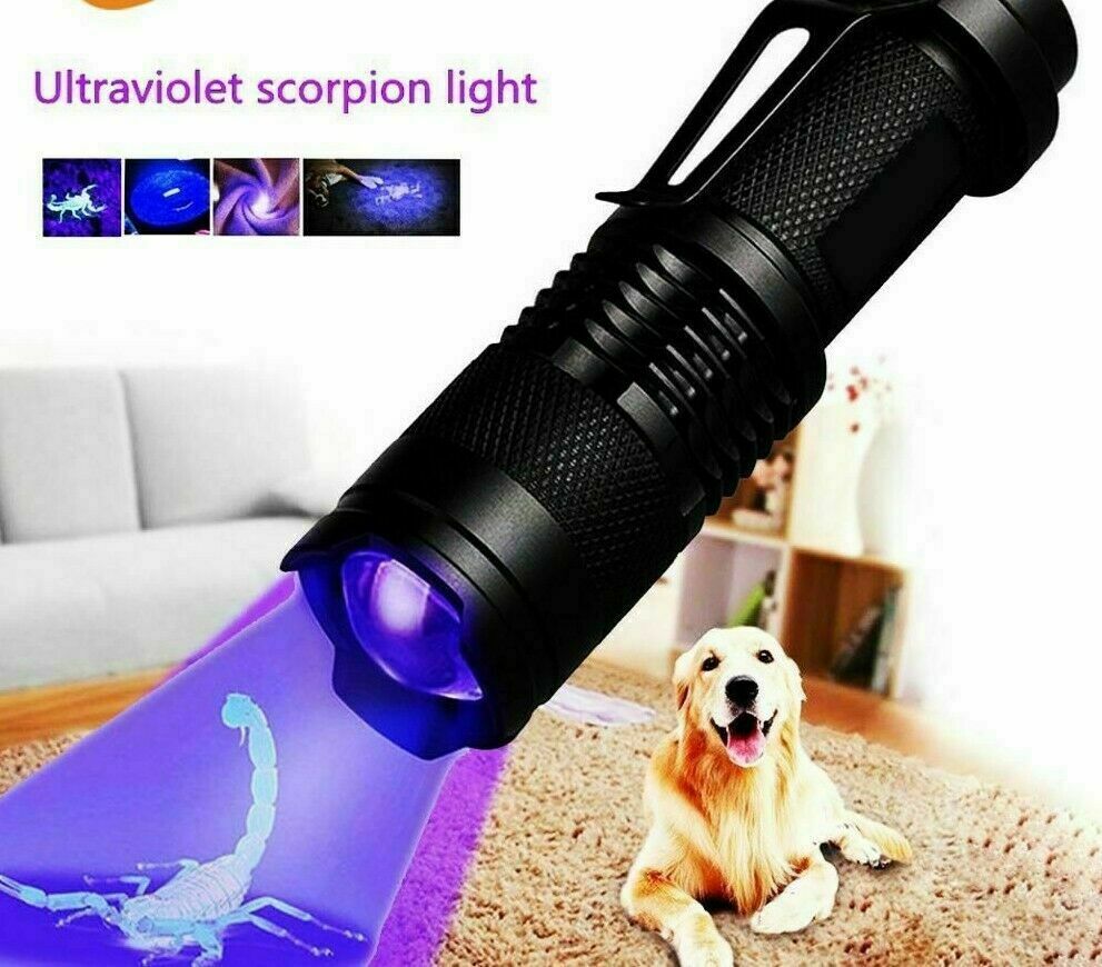scorpion black light flashlight Ultraviolet LED This Scorpion flashlight is just as effective and durable as more costly models GLOSSDAY UV Flashlight Black Light,