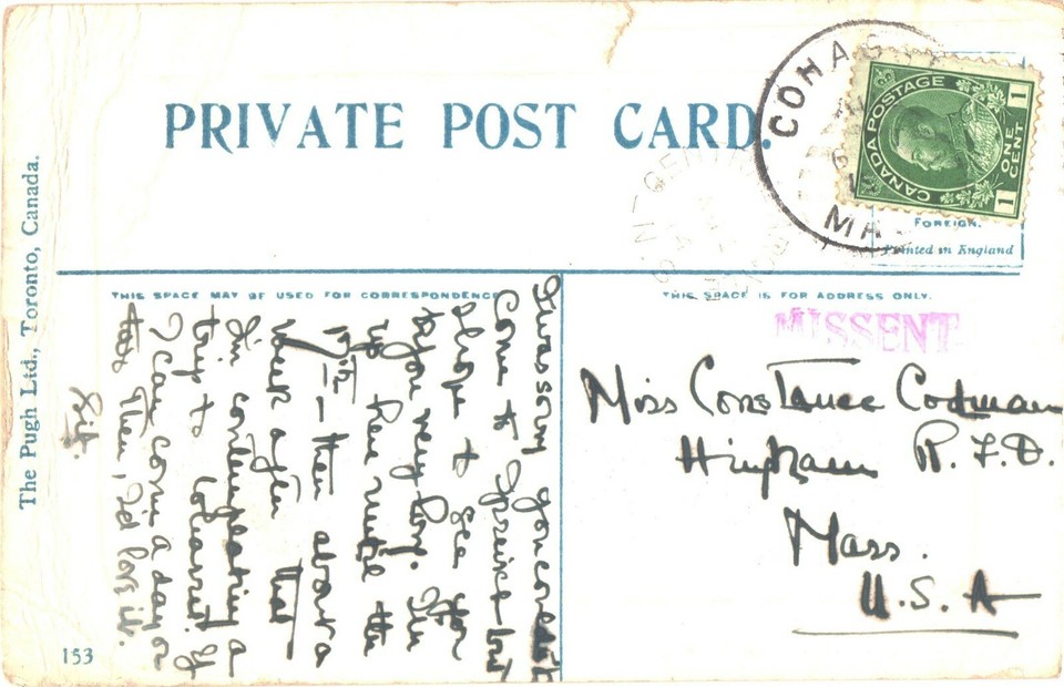 Beautiful Pine Trees And River Scene, Lower Argyle Nova Scotia, Canada