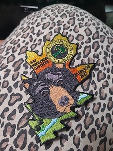 Michigan Bear Dnr Patch 2025