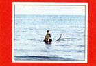 Bild 65 von 66