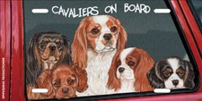 Cavalier King Charles License