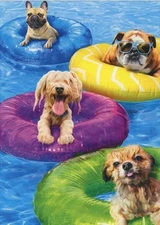 DOGS TUBING IN POOL "Hope it's a whole day of fun-shine!" AVANTI BIRTHDAY CARD