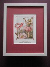 Cicely Mary Barker print 'The Song Of The Shirley Poppy Fairy'  FRAMED