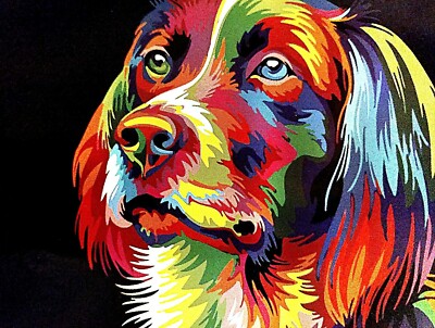 Colorful Dog's Face DIY Paint By Numbers Kit Acrylic Painting On