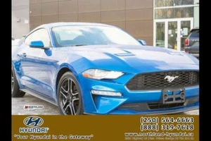 2019 Ford Mustang