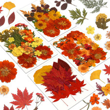 Fall Dried Pressed Flowers,100 Pcs Autumn Dried Flowers Leaves for Resin Molds R