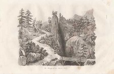 Game IN Schwarzwald Forêt-noire Steel Engraving From 1835 Baden-Württemberg