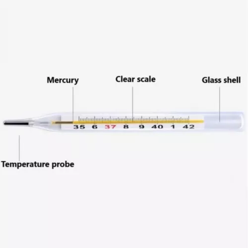 Medical Mercurial Glass Thermometer, Screen Clinical Large ScreenClinical - 1pc - Picture 7 of 8