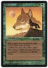 Wyluli Wolf (Dark) 1993 Arabian Nights Green Creature MTG LP (ring indent) AZ2