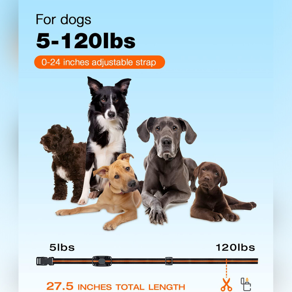Hund Ausbildung Stromschlag Erziehungshalsband Hunde Vibration Ton e-Shock-1000m