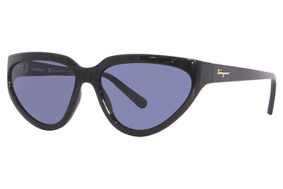Salvatore Ferragamo SF1017S 001 Sunglasses Women