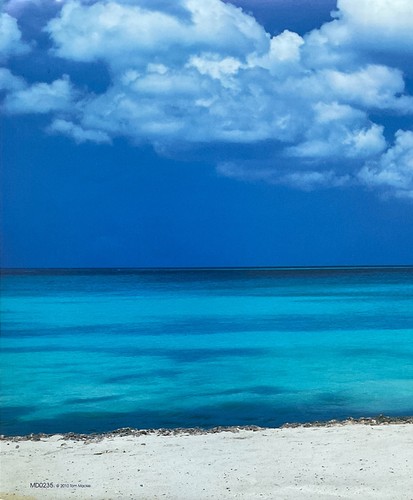 Aruba Beach Scenic Poster 12 x 36 - Picture 2 of 3