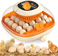 25 Egg Incubator,Automatic Egg Turner with Thermometer Seat and Humidity Control