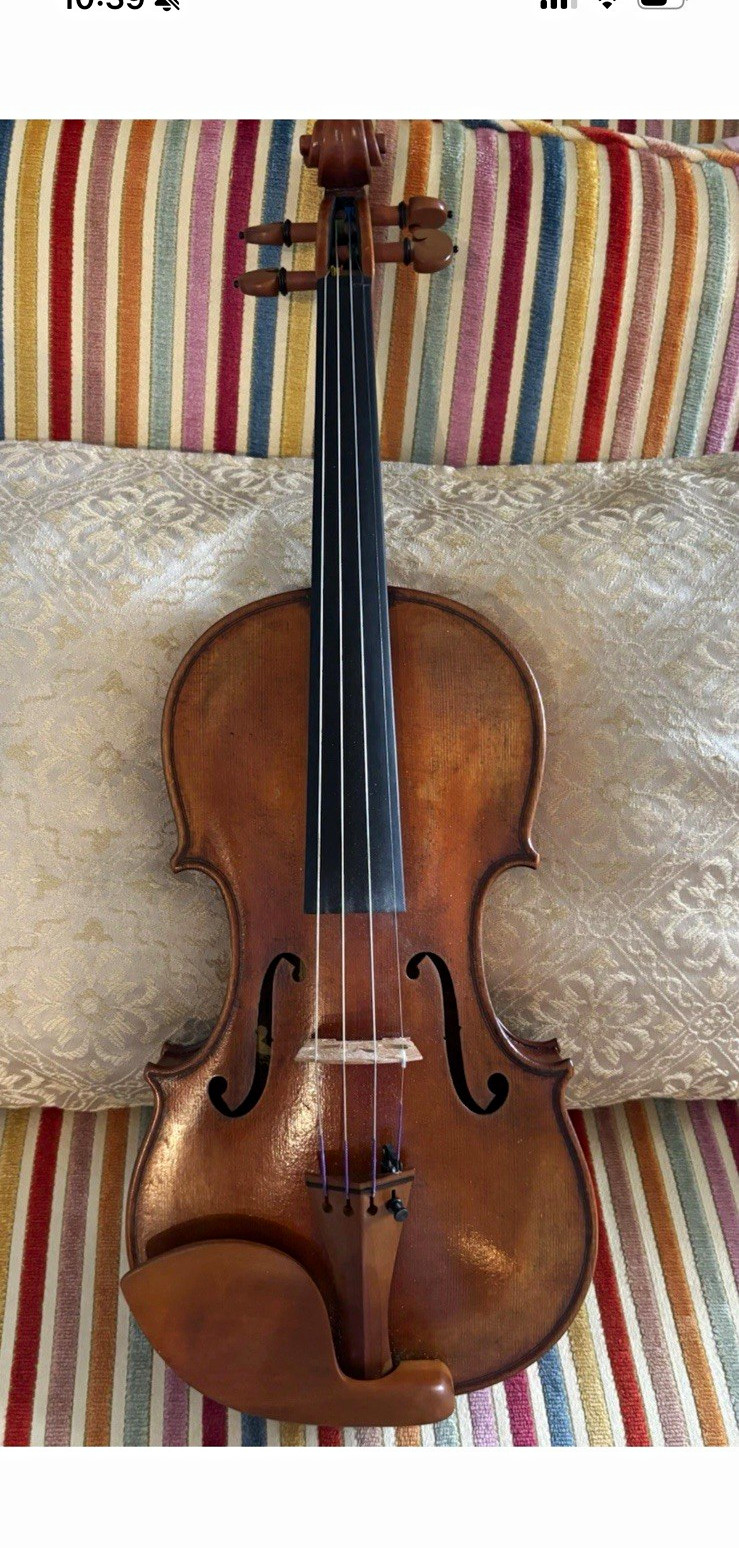 4/4 Acoustic 4-String Violin Brown Varnish Chinrest Fine Tuner Hard Case