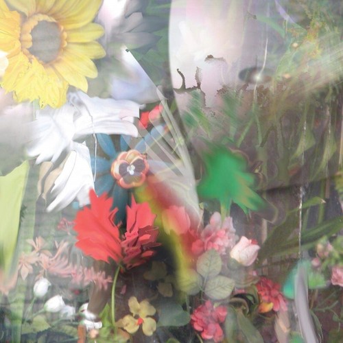 BIG INDIE ALTERNATIVE SALE = Various Bands Zur Auswahl = NEUWARE = ROCK POP FOLK - Bild 144 von 178