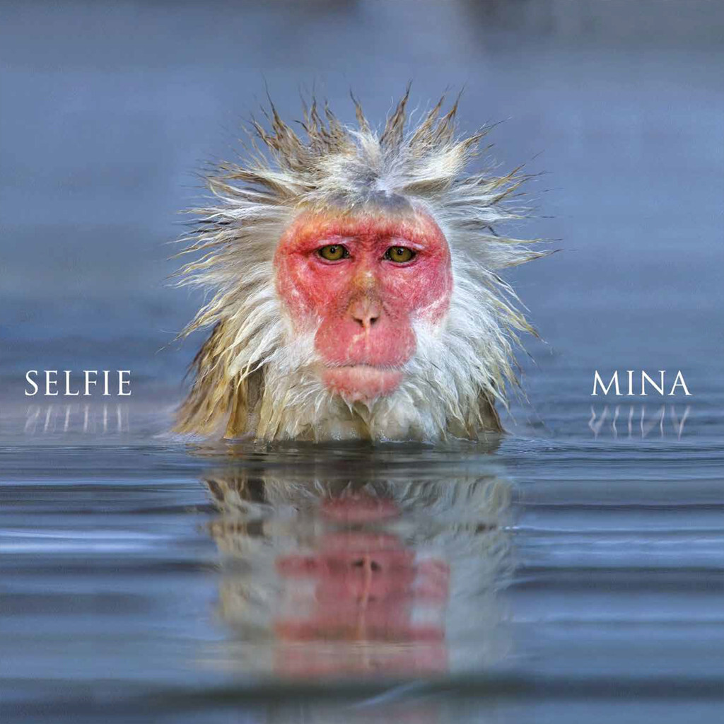 Mina Selfie Vinyl LP Gatefold New And Sealed