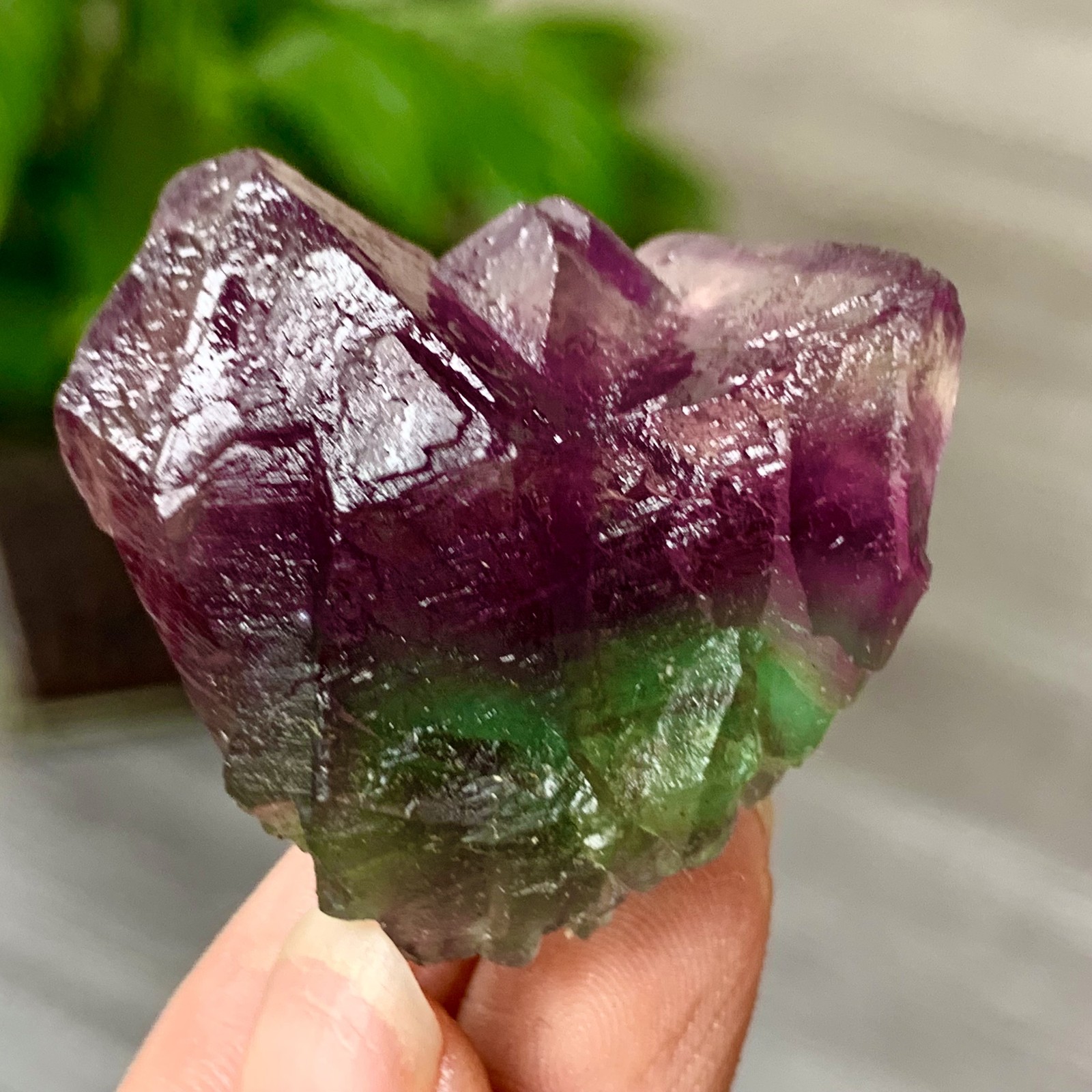 38G Natural Transparent Purple Green Fluorite Crystal Specimen from China