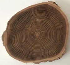 Tree Slice Coasters | Trivet Made From A Tree Trunk Slice
