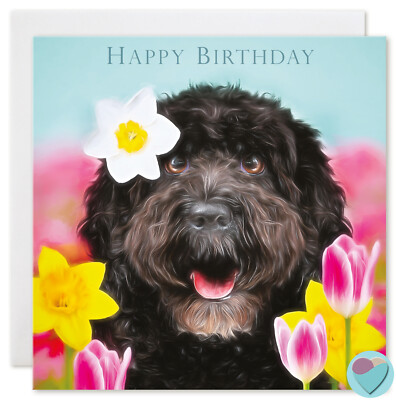 cockapoo birthday