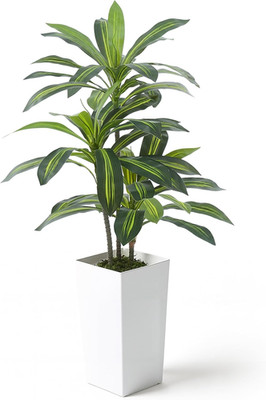 4FT Artificial Dracaena Tree 48 Inch   Fake Floor Plant in White Planter with Mo