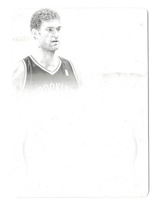 2012-13 Panini Flawless Brook Lopez BLACK PRINTING PLATE 1/1 Nets #46