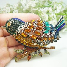Broche prendedor de cristal de diamantes de imitación de pájaro martín pescador colorido de 3,7"