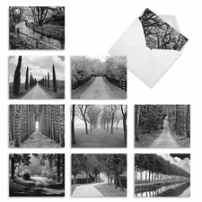 10  All Occasion Blank Cards Assortment - TREE LINES M3313