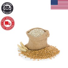 100 Organic Wheat Bran Bedding - Mealworm  Superworm Food, 4LB