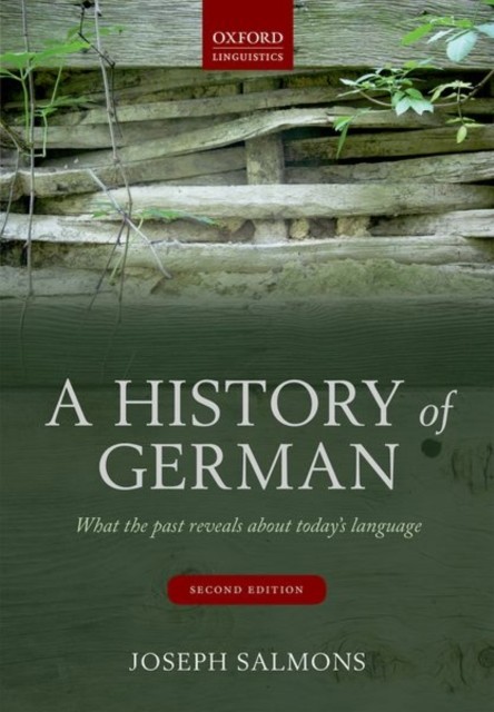 A History of German by Joseph  Salmons (Paperback Book)