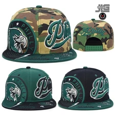 Philadelphia New City Thunder Liberty Eagle philly Embroidery Snapback Hat Cap