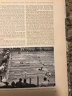 Foto 7 di 14