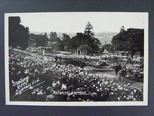 Sydney NSW Austrailia Botanical Gardens Real Photo Postcard RPPC 1940s