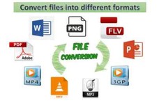 Professional File Conversion Service - Convert Any Files To Your Desired Format