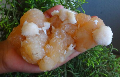 Mordenite Ball auf Stilbit Kristalle & Mineral Exemplare Bo = 2