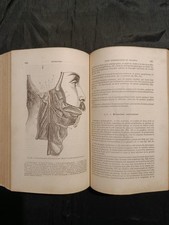 Libro Antico Medicina 1880 - Anatomia e Embriologia - Beaunis & Bouchard