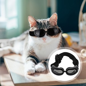 wind goggles for dogs