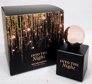 Into The Night Scent Notes 2025