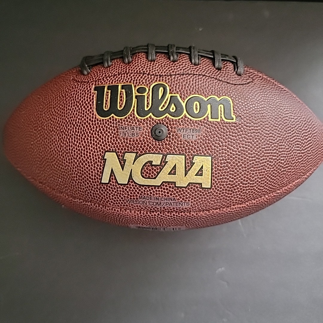 NCAA Wilson Silver Series Official SizeRecreational Composite
