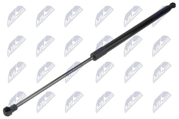 Nty Heckklappen DäMpfer Gasfeder Kofferraum AE-RE-088 FüR Renault ScÉNic 4 Tce-image