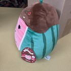 Squishmallow Wanda the Chocolate Watermelon ( 2024)-6-6-2024 — photo 2