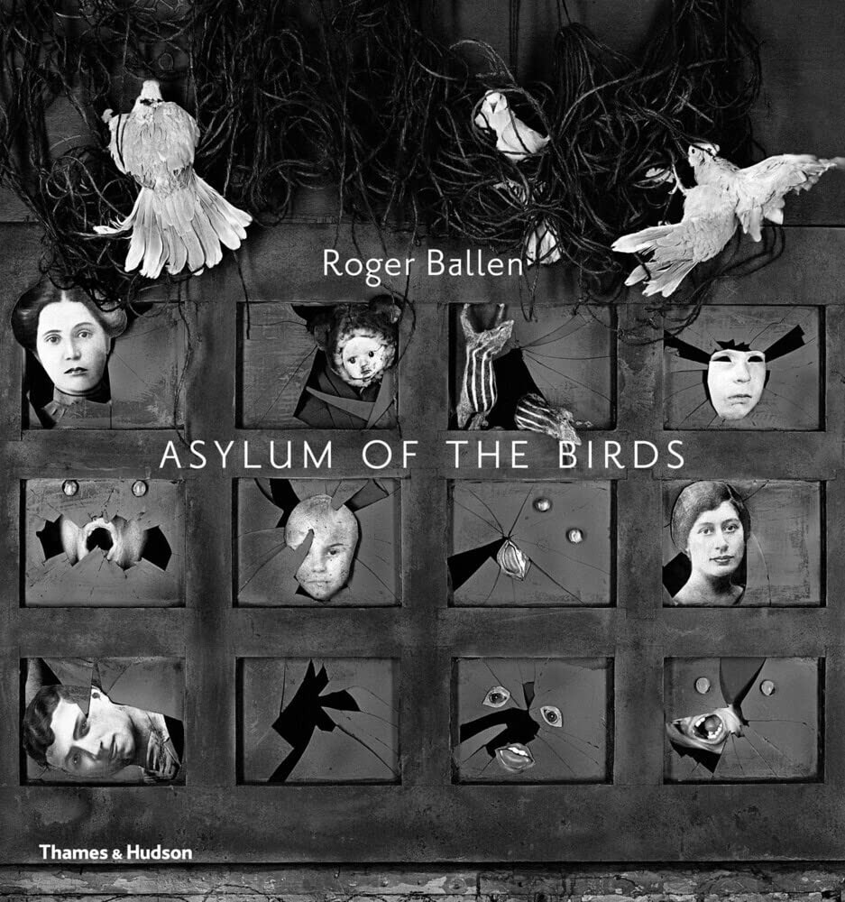 Asylum of the Birds - Image 6
